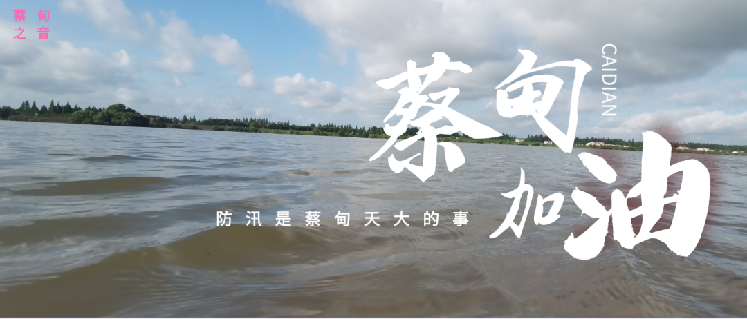 蔡甸區(qū)啟動(dòng)防汛ⅰ級(jí)應(yīng)急響應(yīng)，做好鋪土釘防汛木樁工作