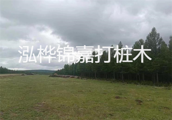 軟土地基加固措施，保障建筑穩(wěn)固