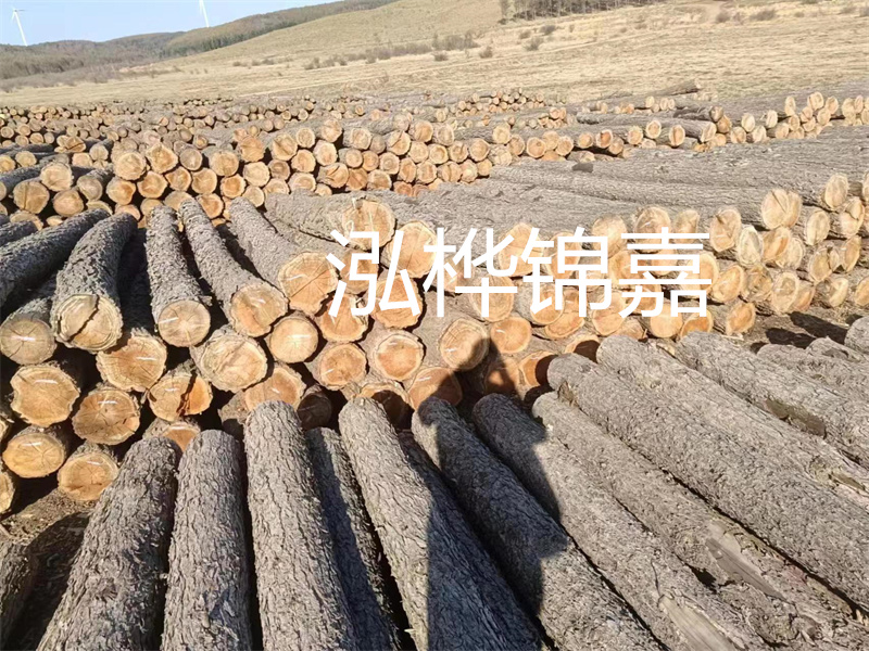 選擇合適的路緣石尺寸，打造美麗道路